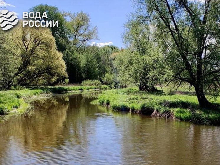 Калининградских добровольцев пригласили на очистку берегов реки Тыльжи от мусора