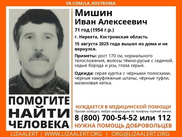 В Костромской области бесследно исчез пожилой мужчина