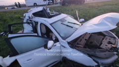 Три человека погибли в ночной аварии на трассе в Тамбовской области