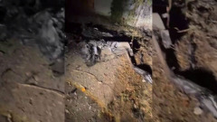 Системой РЭБ «Купол Донбасса» за неделю предотвращены 802 атаки со стороны ВСУ