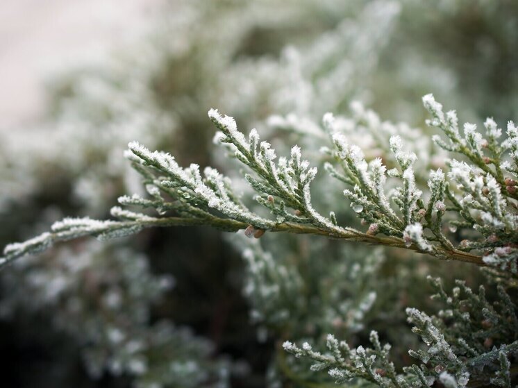 Erste Fröste in Jakutien inmitten herbstlicher Temperaturrekorde