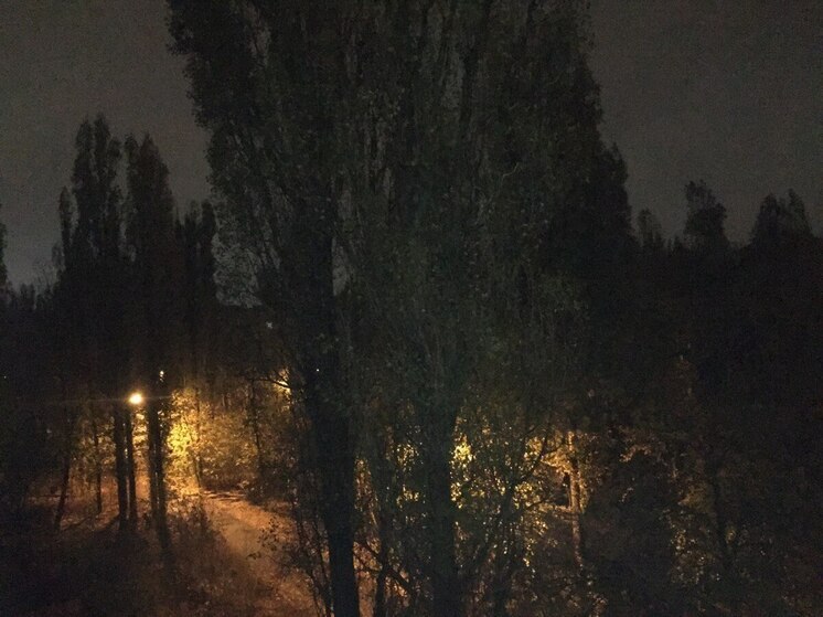 В Кантемировском районе Воронежской области ночью работали сирены