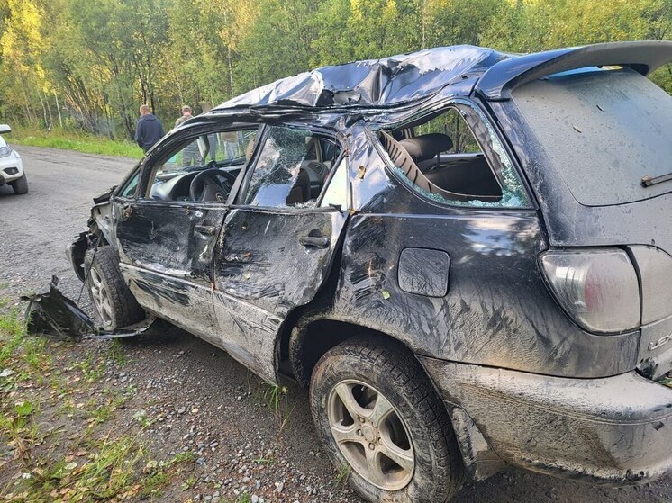 На Алтае автоледи не рассчитала скорость и влетела в дерево. Двое в больнице
