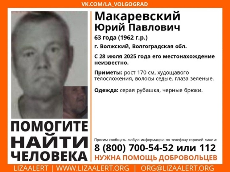 В Волгоградской области с 28 июля ищут пропавшего 63-летнего мужчину