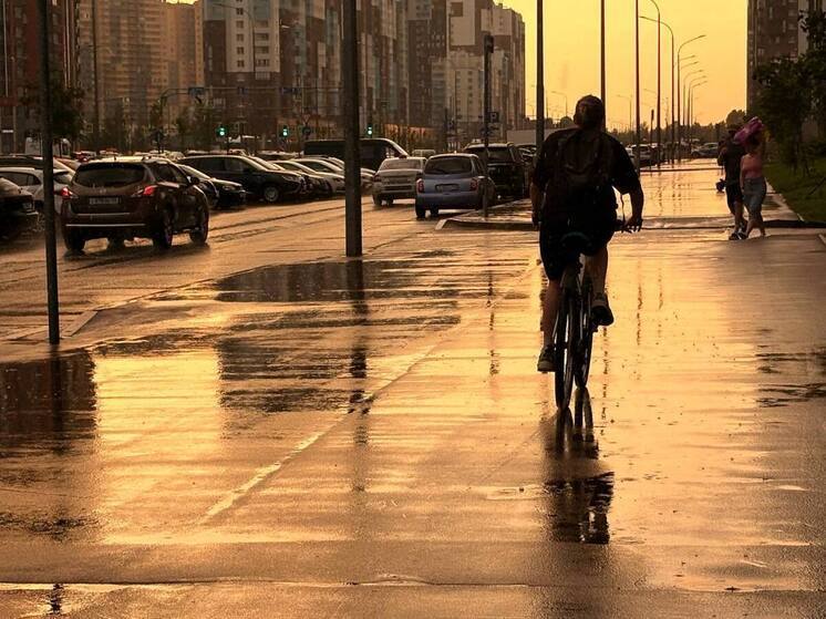 В Петербурге ожидается прохлада и кратковременные дожди