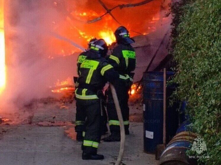 За сутки в Херсонской области случилось 12 пожаров
