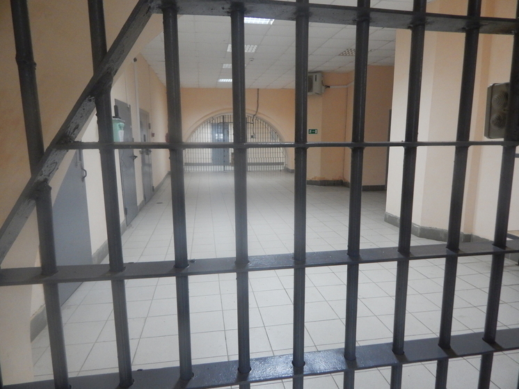 Developer of Secret Defense Systems to Go to Prison for Child's Death