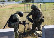 Сотрудники отдела специального назначения УФСИН России по Архангельской области провели открытую тренировку по профессиональному мастерству