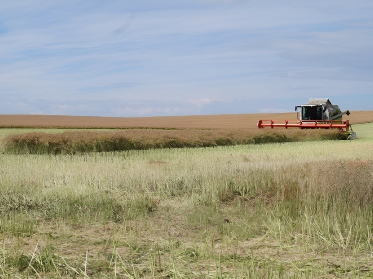 В Хакасии приступили к уборочной кампании