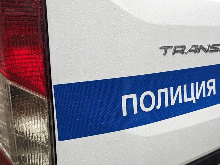 Криминальное трио: в Тихвине задержали подозреваемых в грабеже