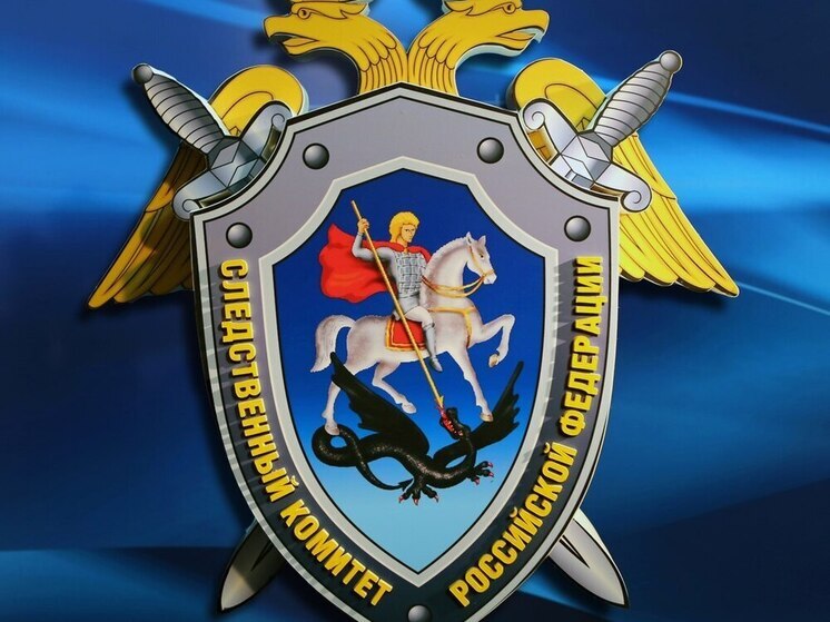 Уголовные дела завел федеральный СК после атак БПЛА на Воронеж и Лиски