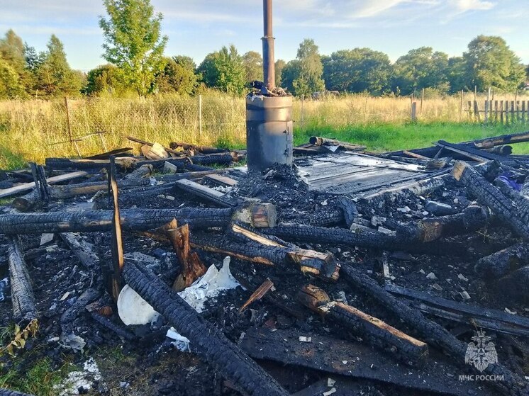 Короткое замыкание электропроводки стало причиной пожара в псковском садоводстве