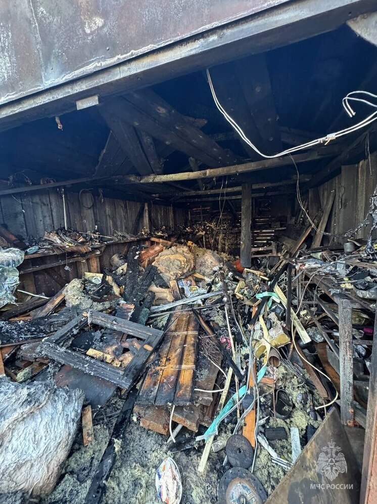 Аромат на весь подъезд: мусорный контейнер сгорел в Пскове