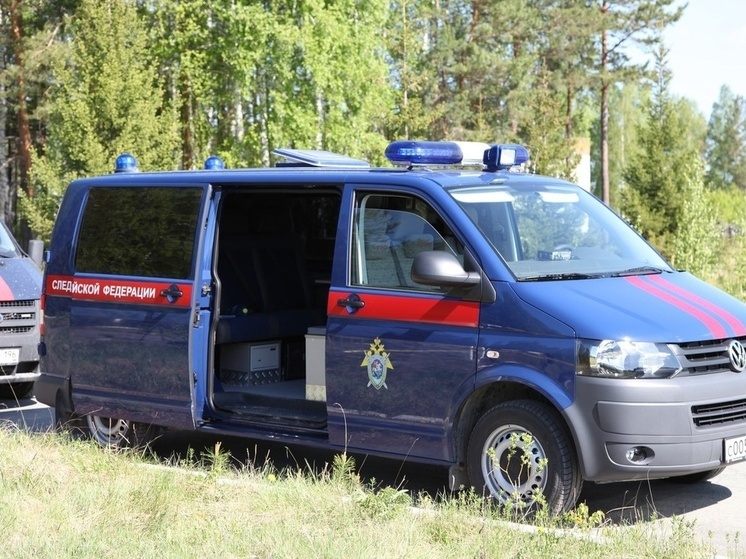 В районе Дубровки нашли человеческий череп на двух позвонках