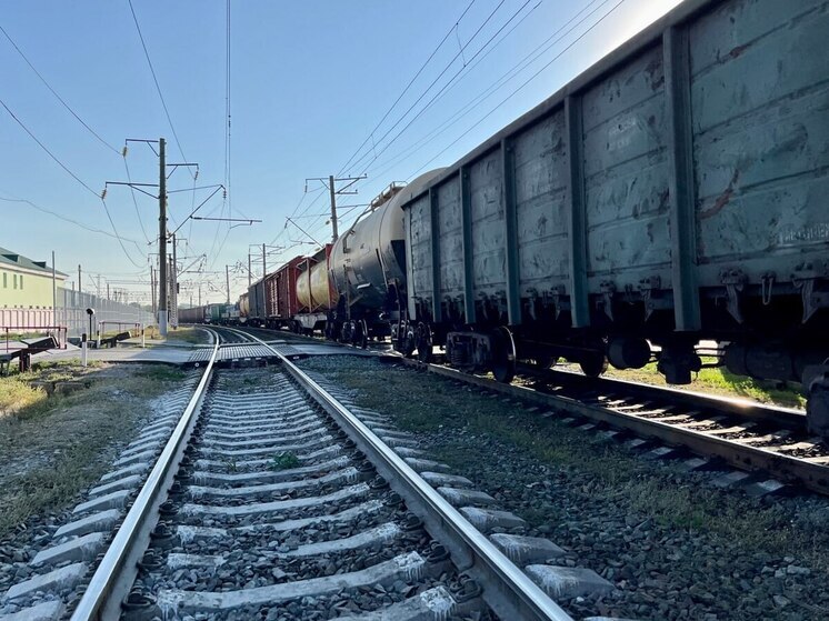 Грузовой поезд сбил мужчину в Саратовской области