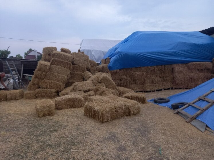 Ставрополец украл 177 тюков соломы