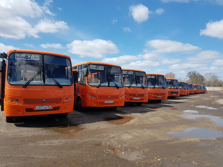 Более 2 млн рублей штрафов заплатят нижегородские перевозчики