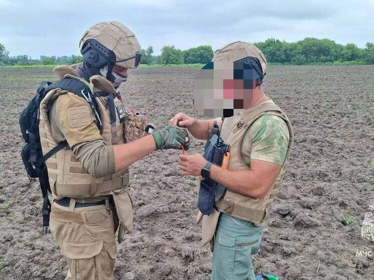  В Курской области за год обезвредили более 13 тысяч взрывоопасных предметов