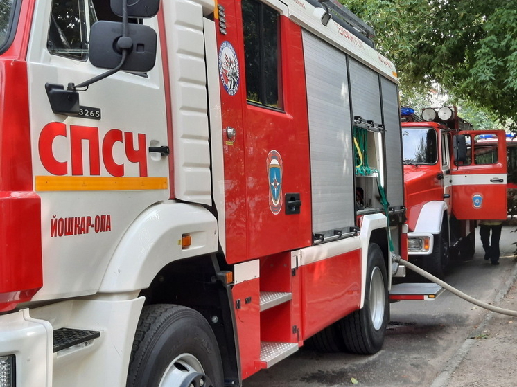Восемь пожаров произошло в Марий Эл на прошлой неделе