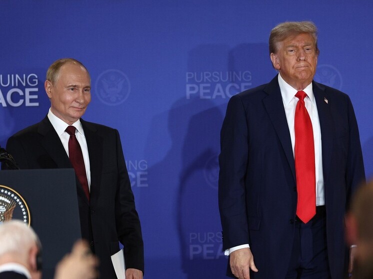 Политолог Мамычев: завершение боевых действий для режима Зеленского – катастрофа