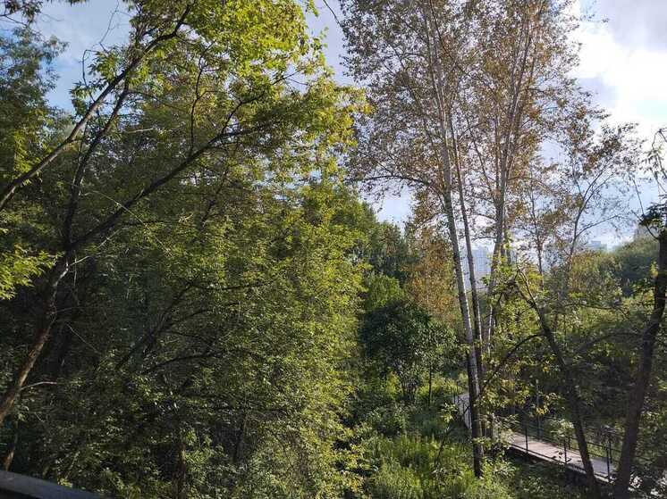 Неделя в Перми будет прохладной