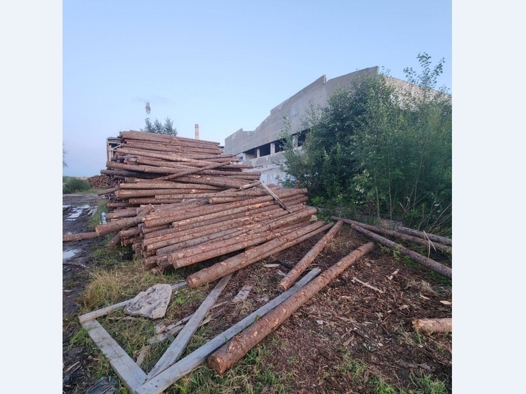 В Прикамье дети получили смертельные травмы от бревен