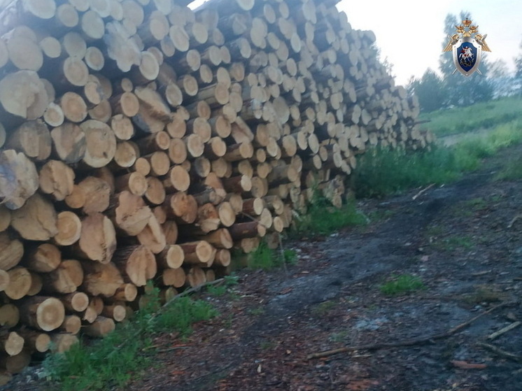 В Марий Эл передано в суд уголовное дело о гибели 12-летнего мальчика