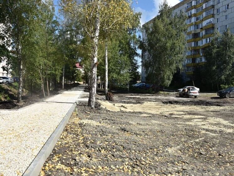В Пензе проверили, как идут работы по созданию сквера на Ново-Казанской улице