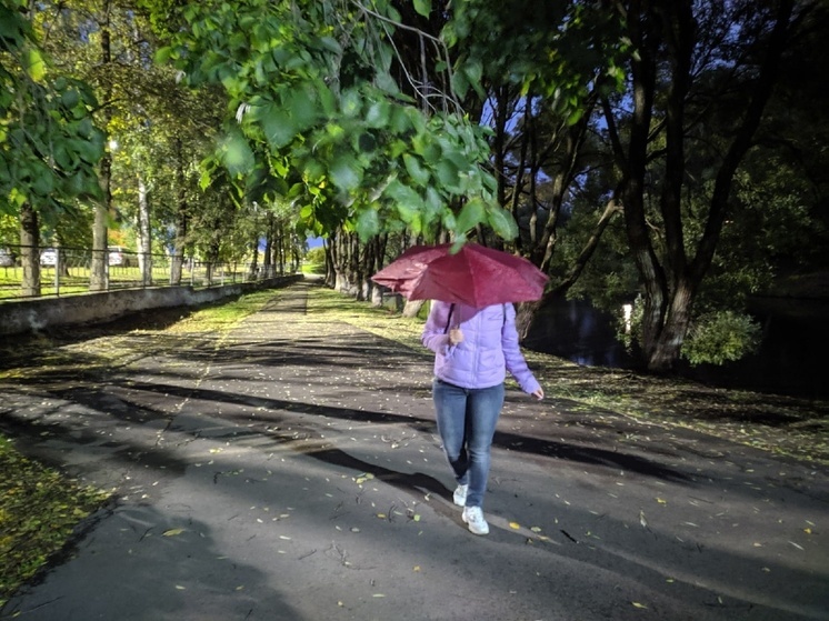Похолодание и дожди ожидаются на Вологодчине в ближайшие дни