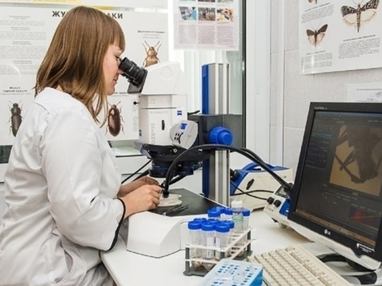 В тепличном комплексе Ревды ввели карантин из-за опасного вредителя