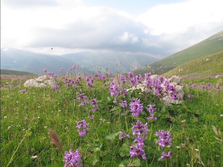 Сочинский национальный парк расширяет рекреационные зоны