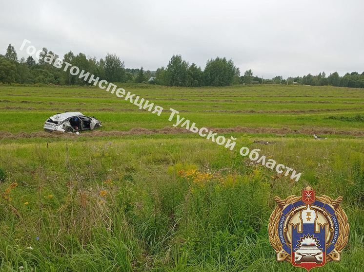 После опасного обгона под Тулой водитель Ford погиб, а пассажир пострадал