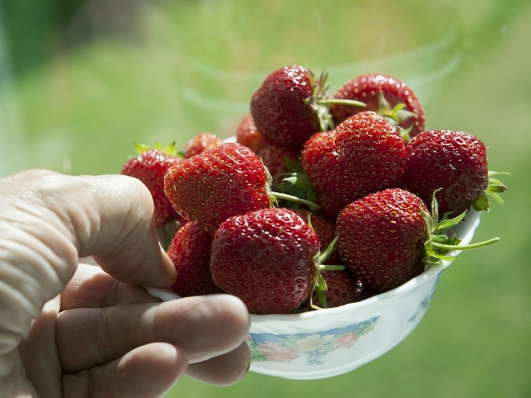 Агроном Елена Маврина рассказала, какие удобрения стоит использовать для подкормки