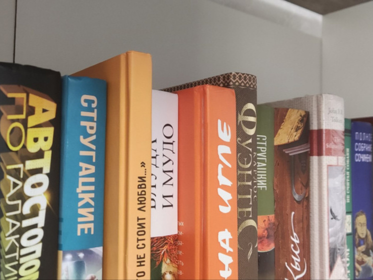 Школьные библиотеки Донбасса и Новороссии примут участие во всероссийских конкурсах