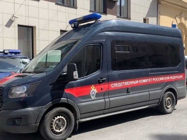 Во Всеволожском районе завели уголовное дело после гибели работницы на заводе