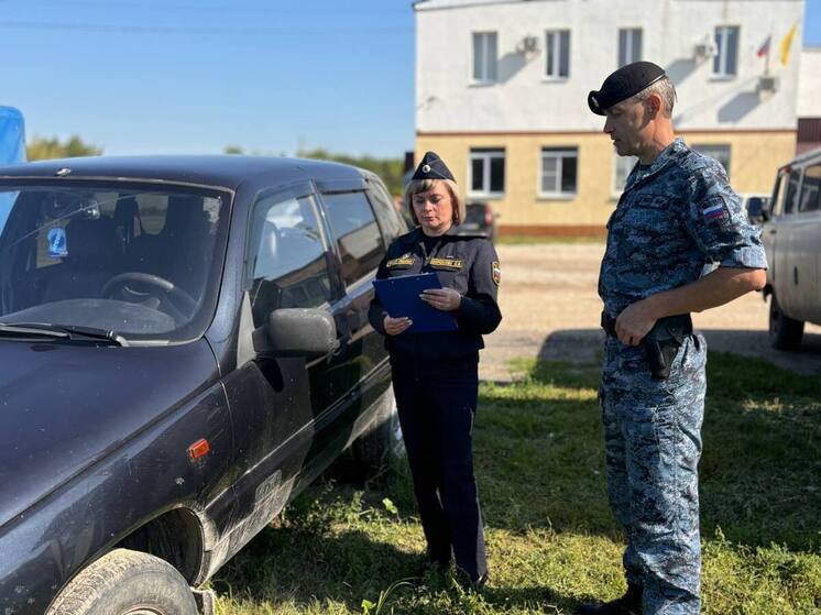 Предпринимательница из Пензенской области оплатила долги, чтобы сохранить красивые номера