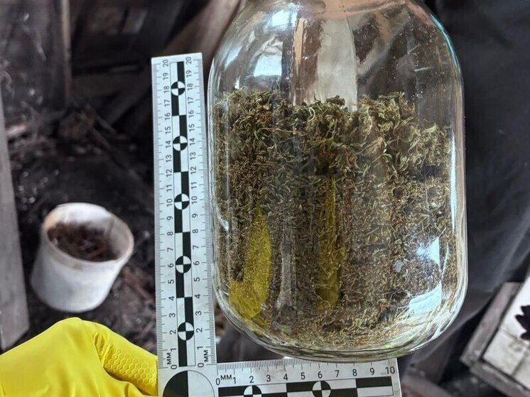 В Скопинском районе задержан мужчина с 200 граммами марихуаны