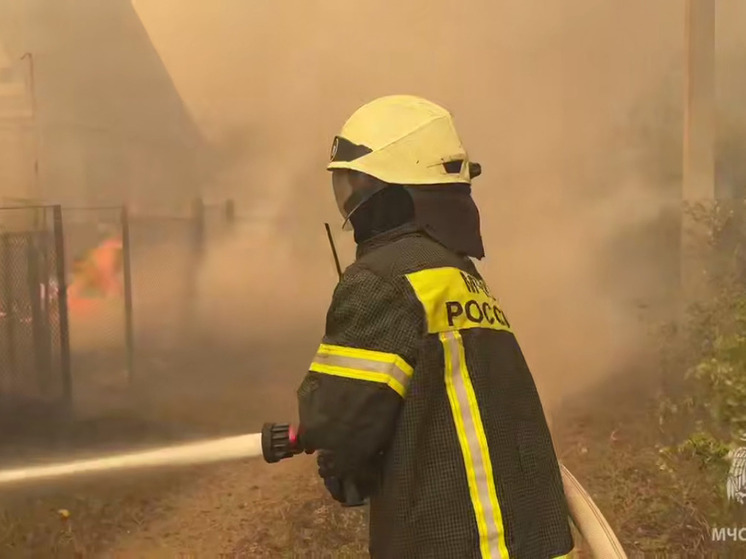 Без света и связи остались жители Станично-Луганского округа из-за масштабного пожара