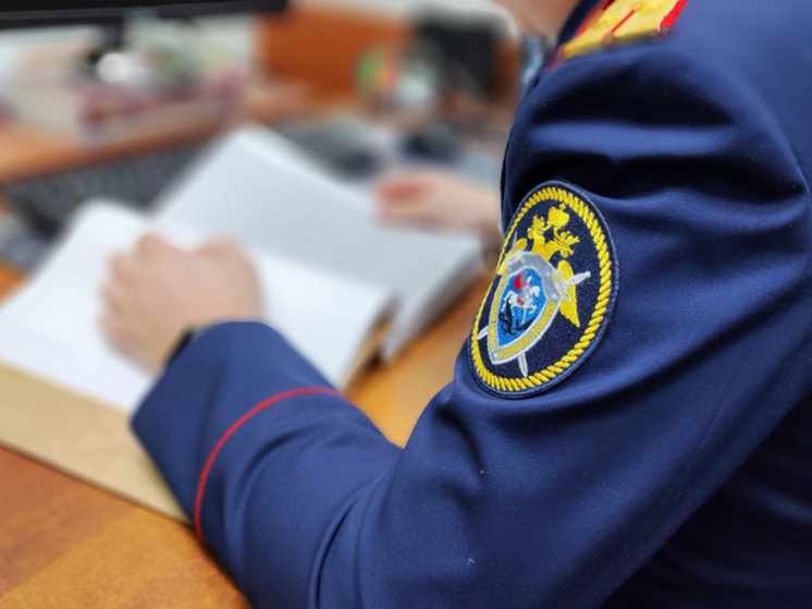 Подмосковный СК задействовал соцсеть для связи с гражданами