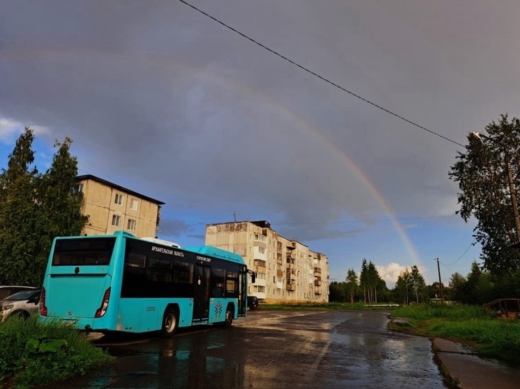 В Архангельске перевозчик отменил рейсы на маршруте №134