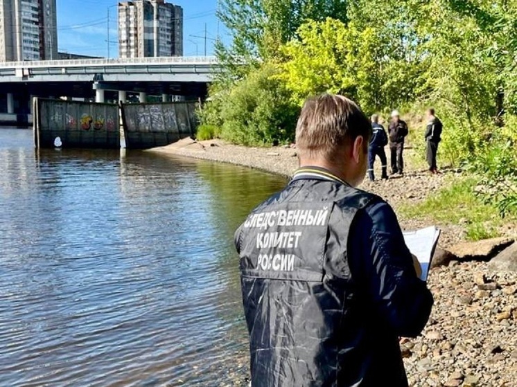 В Череповце выясняют причины гибели мужчины в реке