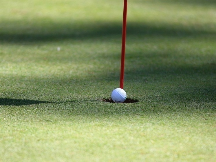 Муха помогла гольфисту  Флитвуду выиграть 2 млн долларов на турнире в США