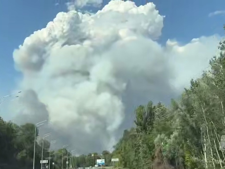 Волгоградская область поможет ЛНР в тушении масштабного пожара