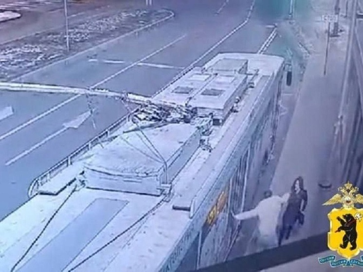 В Ярославле троллейбусного хулигана признали невменяемым