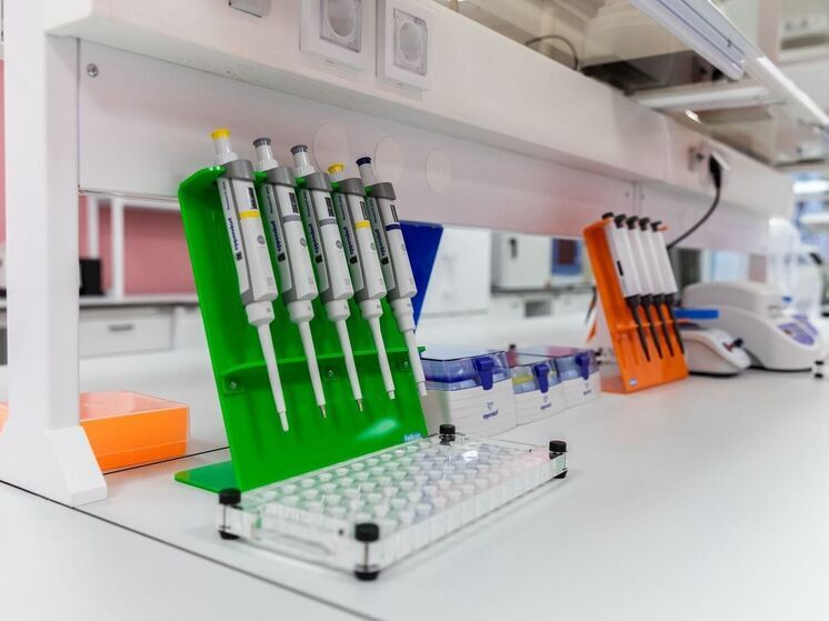 В Курском районе Ставрополья проверят свыше 9 тыс. тонн семян озимых культур