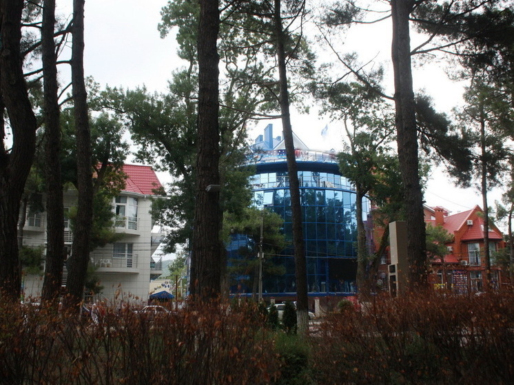 Владелица отеля в Сочи обвинила экономных туристов в рабстве и «нищеблудстве»