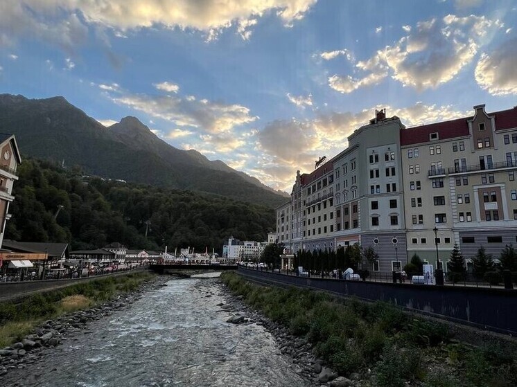 Предвестники холодов: в горах Сочи распустились первые осенние цветы