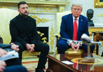 Зеленский на встрече с Трампом проявил чудеса терпения