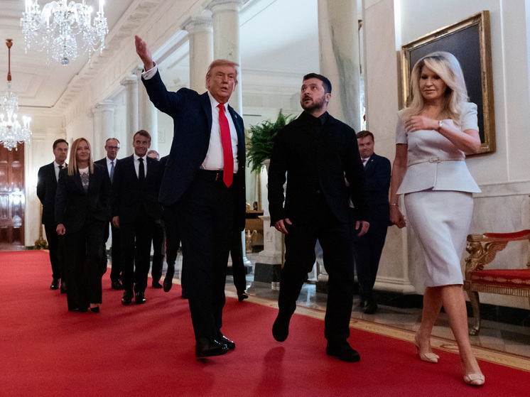 СМИ назвали отличия встреч Трампа с Зеленским