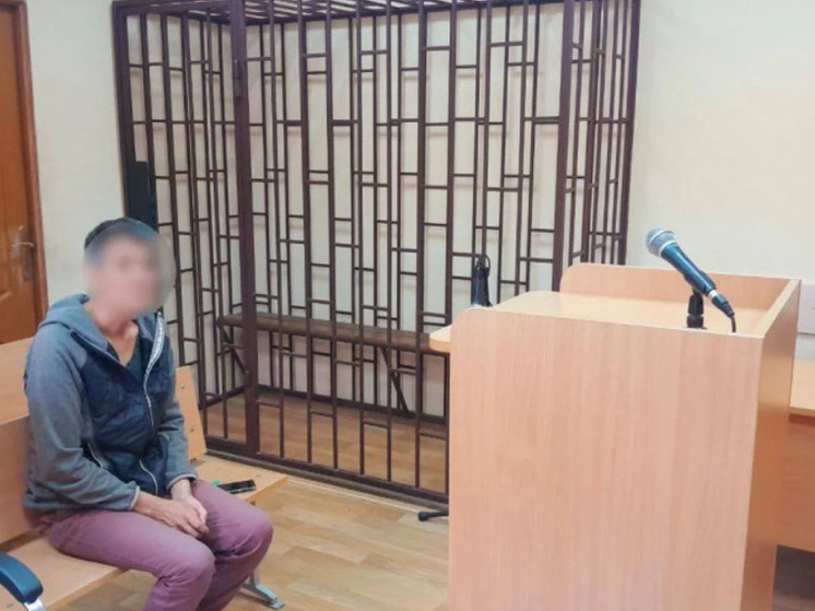 Жительница Правдинского района отправится в колонию за призывы к диверсиям